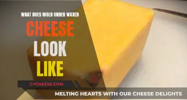 Unveiling the Mystery: Mold Beneath Waxed Cheese's Surface