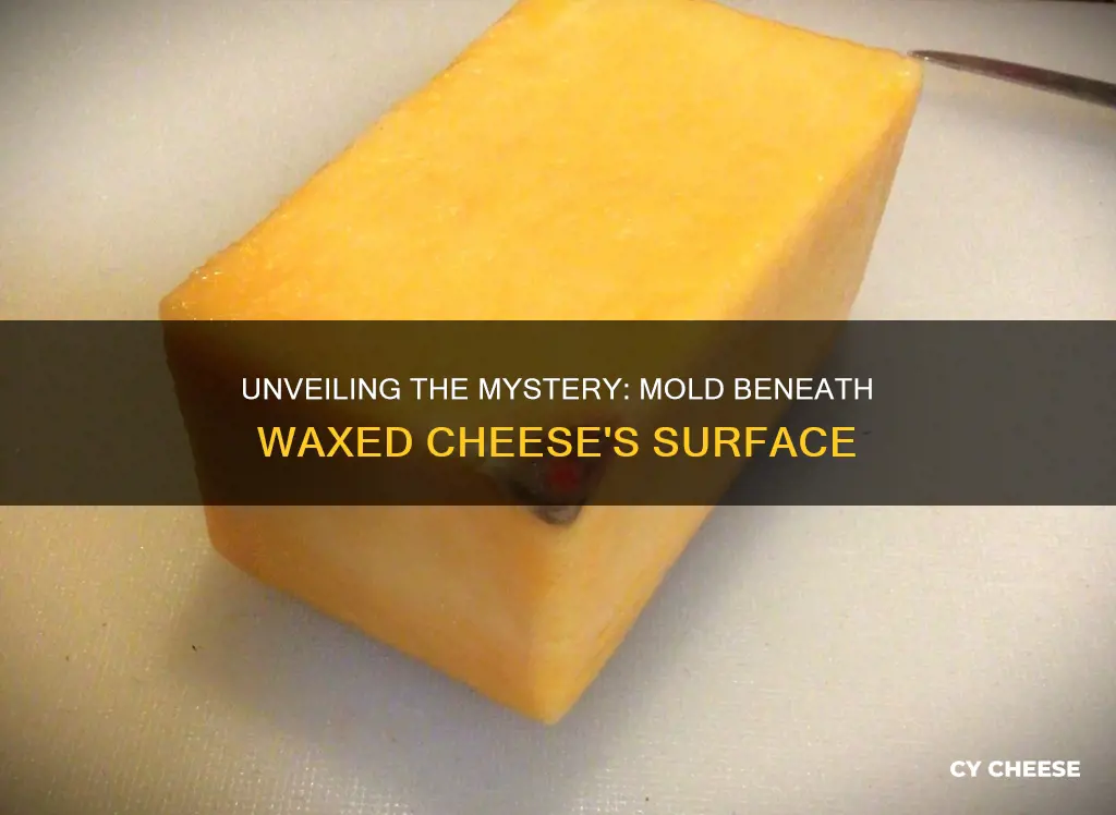 what does mold under waxed cheese look like