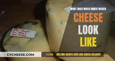 Mold Under Waxed Cheese: What Does It Look Like?