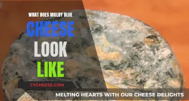 Unveiling the Moldy Blue Cheese Mystery: A Visual Guide