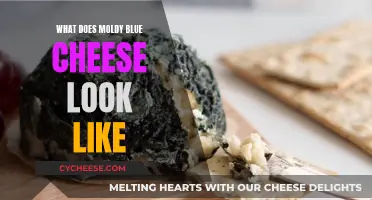Recognizing Mold: Blue Cheese and Its Unique Appearance