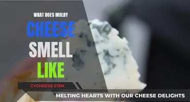 The Musty Aroma of Moldy Cheese: A Smell to Remember