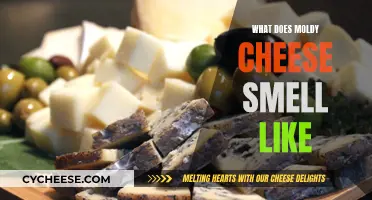 Moldy Cheese: The Pungent Aroma of Decay