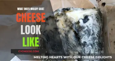 Unveiling the Moldy Goat Cheese Mystery: A Visual Guide