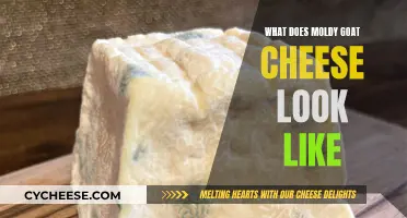 Goat Cheese Gone Bad: How to Spot Mold