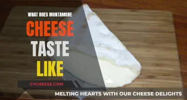 Montamore Cheese: A Tasty Adventure in Flavor