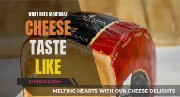 A Cheesy Adventure: Unveiling the Taste of Monterey Jack