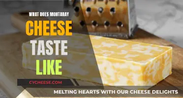 The Unique Taste of Monterey Cheese Explained