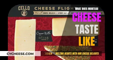 The Unique Taste of Montau Cheese: A Detailed Review