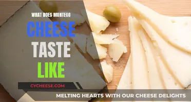 Exploring the Flavor Profile: Montego Cheese Unveiled