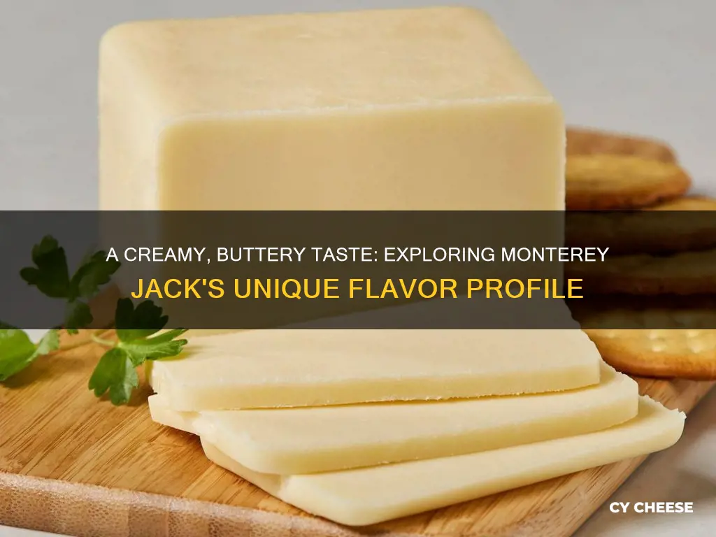 what does monterey cheese taste like