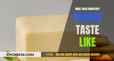 Unraveling Monterey Jack's Unique Taste and Texture