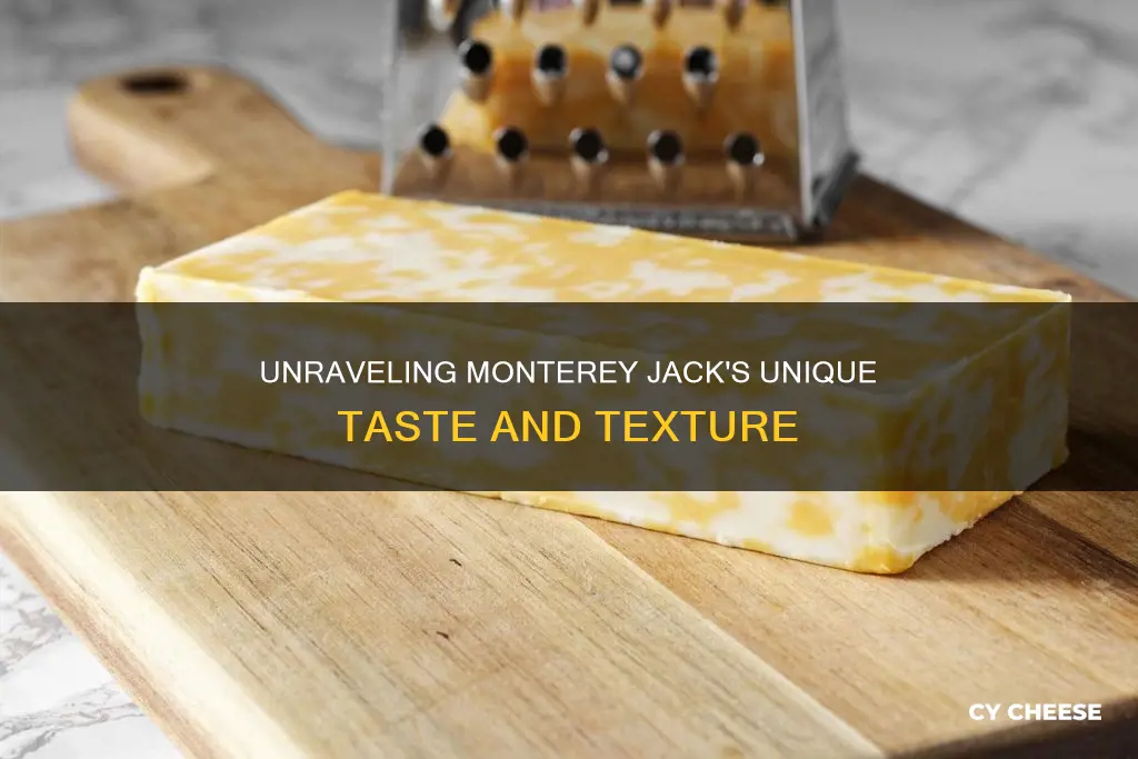 what does monterey cheese taste like