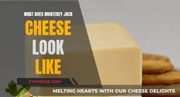 The Visual Guide to Monterey Jack Cheese