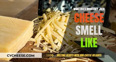 Unveiling Monterey Jack: The Aroma Experience