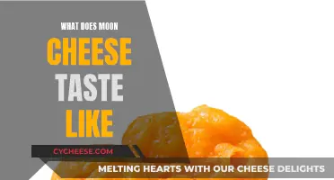 Moon Cheese: Salty, Crunchy, and Cheesy Taste Adventure