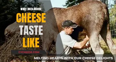 Moose Cheese: A Tasty Adventure in the Wild