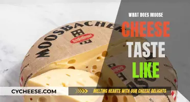 The Unique Taste of Moose Cheese: A Review