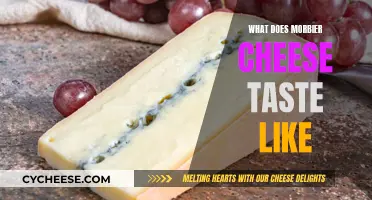 Morbier Cheese: A Unique, Complex, and Nutty Flavor Experience