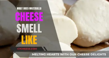 Aroma of Mozzarella: Fresh or Aged?