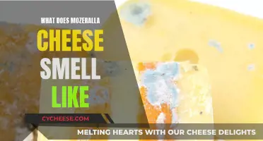 Mozzarella Cheese: Unveiling Its Unique Aroma and Flavor