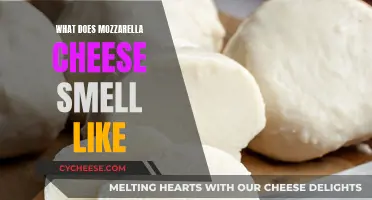 Aroma of Mozzarella: Fresh or Stale?