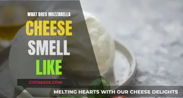 Mozzarella Cheese: Aroma and Taste Experience