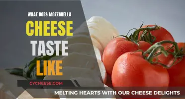 Mozzarella Cheese: Its Taste and Texture Profile