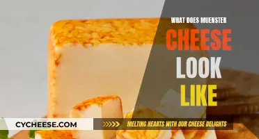 Muenster Cheese: A Detailed Visual Guide