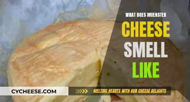 The Distinctive Aroma of Muenster Cheese: A Sensory Experience
