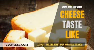 Muenster Cheese: A Mild, Creamy, and Nutty Taste Experience