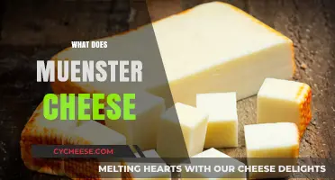 Exploring Muenster Cheese: Flavor, Texture, Uses, and Origins Revealed