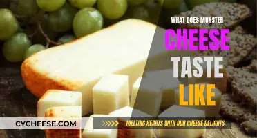 Munster Cheese: A Strong, Pungent, and Creamy Delight