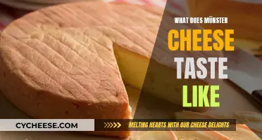 The Unique Taste of Münster Cheese