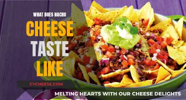 Nacho Cheese: Salty, Tangy, and Cheesy Taste Experience