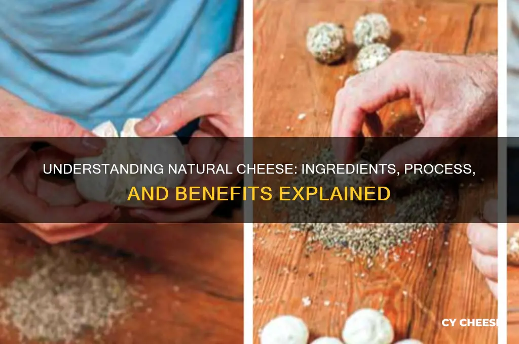 what does natural cheese mean