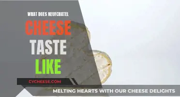 Taste of Neufchatel Cheese: A Creamy, Tangy Delight