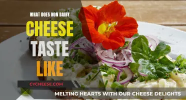 Non-Dairy Cheese: Taste and Flavor Profile Explained