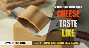 Brown Cheese: Norway's Unique Taste Explored