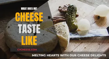 The Taste of Nut Cheese: A Dairy-Free Delight