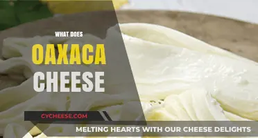 Discover Oaxaca Cheese: Its Origin, Uses, and Unique Stretchy Texture