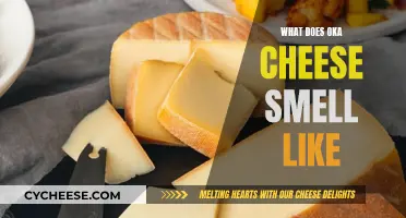 The Aroma of Oka Cheese: A Sensory Adventure