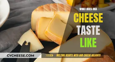 Oka Cheese: A Unique Flavor Profile Explored