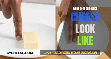 Visualizing Ounces: A Guide to Cheese Portions