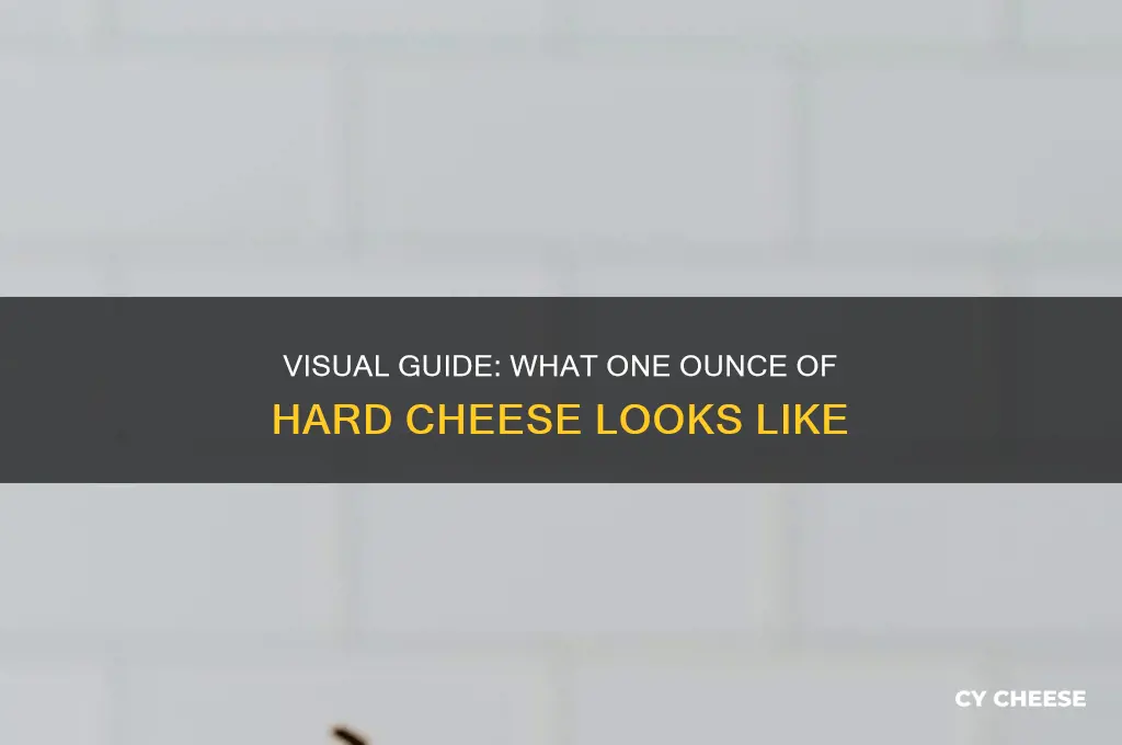 what does one ounce of hard cheese look lke