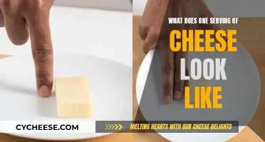 Cheese Serving Sizes: Visual Guide to Portion Control