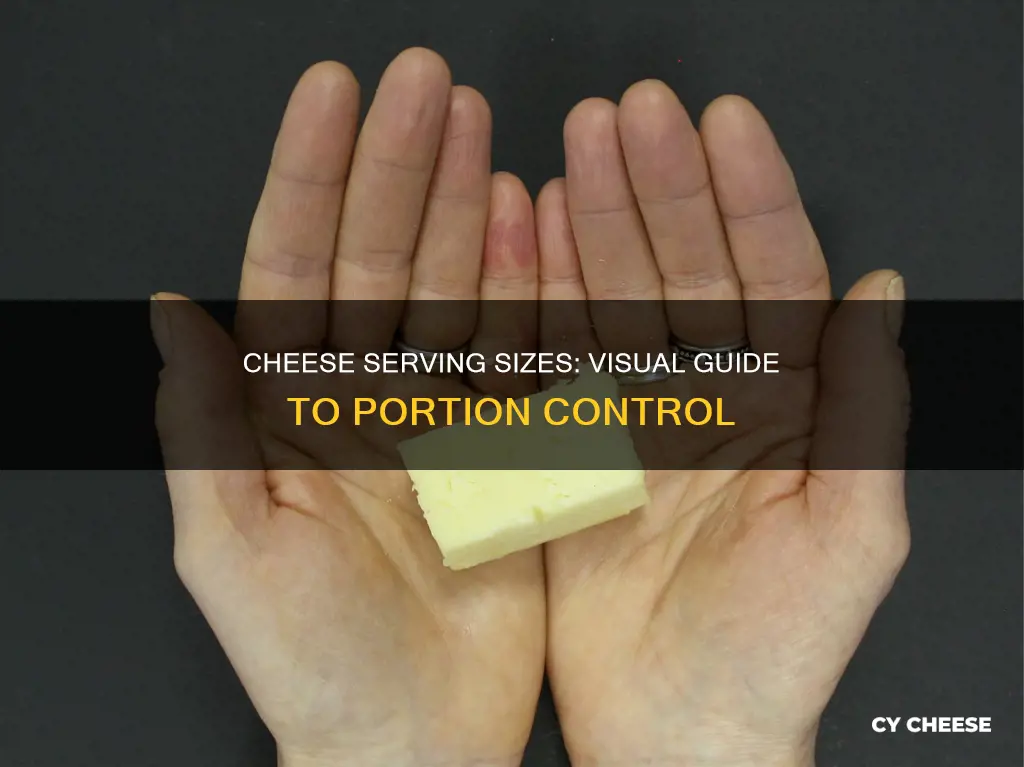 what does one serving of cheese look like