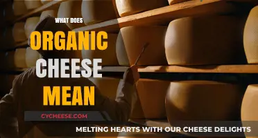 Understanding Organic Cheese: What It Means and Why It Matters
