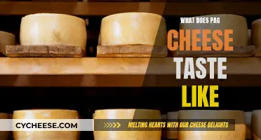 The Unique Flavor of Pag Cheese: A Taste of Croatia