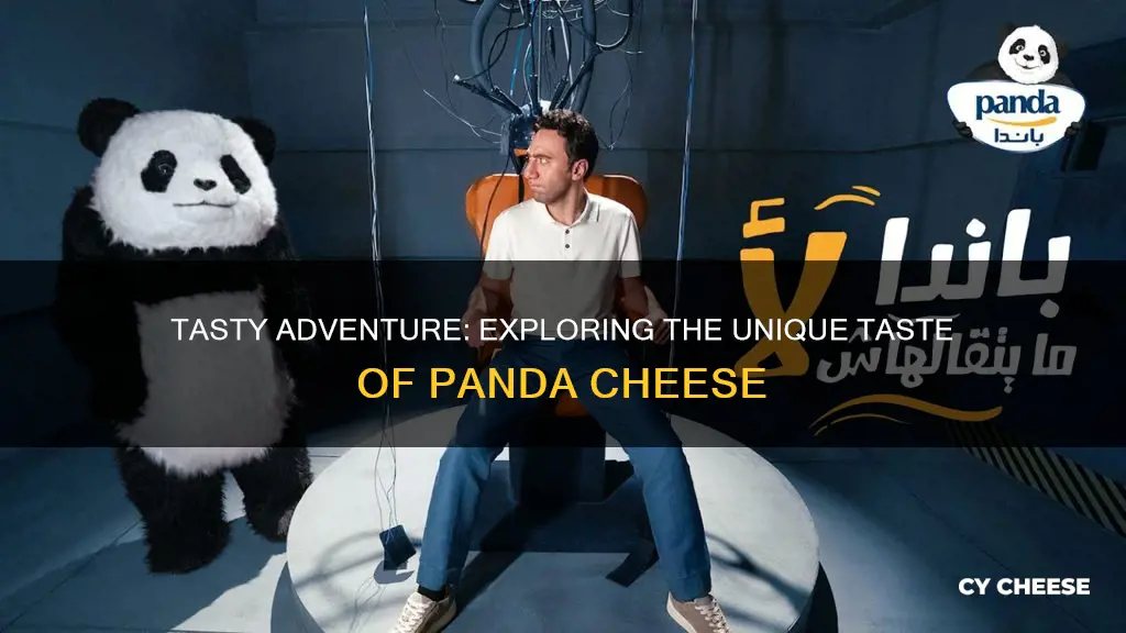 what does panda cheese taste like